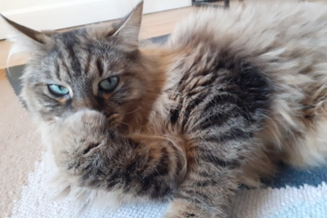 Image d'illustration Image d'illustration