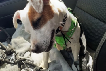 Image d'illustration Image d'illustration