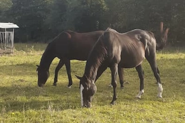 Image d'illustration Image d'illustration